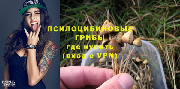 круглые Вяземский