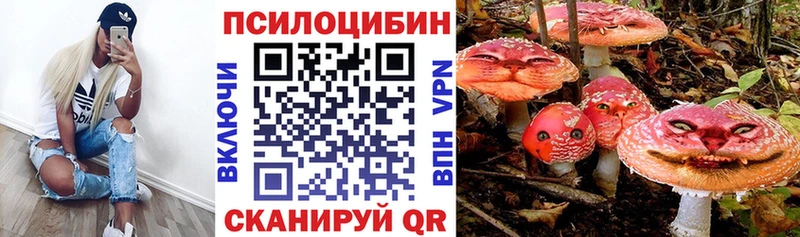Галлюциногенные грибы Psilocybine cubensis цена Нарткала